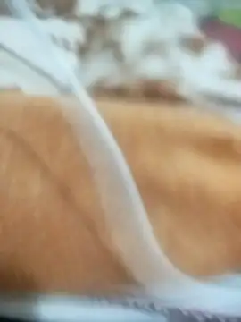 naghmi12 online show from April 13, 2026, 5:50 pm