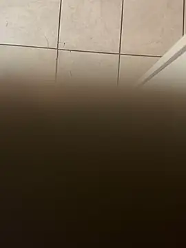 Snapshot of dingoding chatting on January 10, 2025, 3:39 am dingoding online show from January 10, 2025, 3:39 am