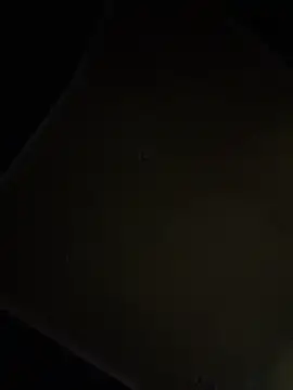 dingoding online show from April 16, 2026, 9:39 pm