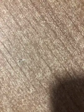 Snapshot of gokhanbey34 chatting on October 2, 2025, 12:25 am gokhanbey34 online show from October 2, 2025, 12:25 am