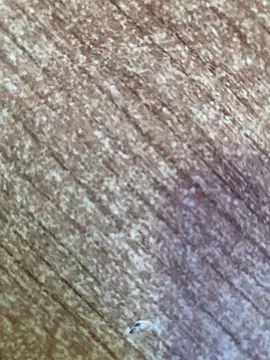 Snapshot of gokhanbey34 chatting on October 26, 2025, 8:48 am gokhanbey34 online show from October 26, 2025, 8:48 am