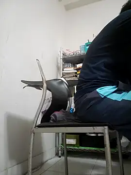 Snapshot of ksshp9502 chatting on November 4, 2025, 3:38 pm ksshp9502 online show from November 4, 2025, 3:38 pm