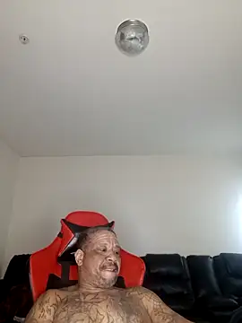 Snapshot of yellowwetfox chatting on February 13, 2026, 3:12 pm yellowwetfox online show from February 13, 2026, 3:12 pm