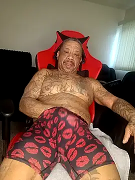 Snapshot of yellowwetfox chatting on February 11, 2026, 2:28 pm yellowwetfox online show from February 11, 2026, 2:28 pm