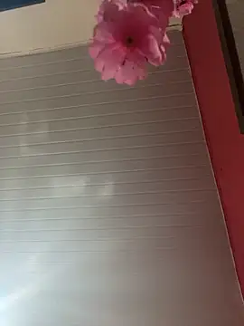 pimenta gaby online show from April 5, 2026, 12:01 pm