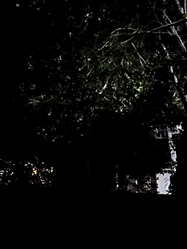 Snapshot of Yuky_ta chatting on March 3, 2025, 12:01 am Yuky ta online show from March 3, 2025, 12:01 am