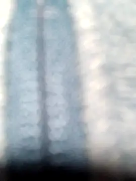 Snapshot of Molly_newman6 chatting on March 20, 2026, 5:47 pm Molly newman6 online show from March 20, 2026, 5:47 pm