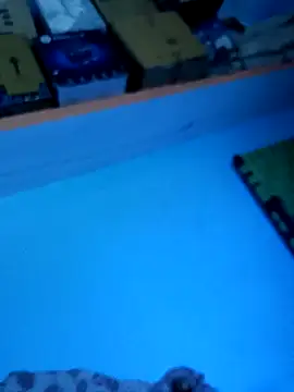 Snapshot of kummuduabbai chatting on September 20, 2025, 9:03 am kummuduabbai online show from September 20, 2025, 9:03 am