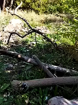 Snapshot of K-27 chatting on October 4, 2025, 10:28 am K-27 online show from October 4, 2025, 10:28 am