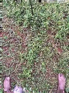 Snapshot of Gopal1243 chatting on October 27, 2025, 1:39 am Gopal1243 online show from October 27, 2025, 1:39 am