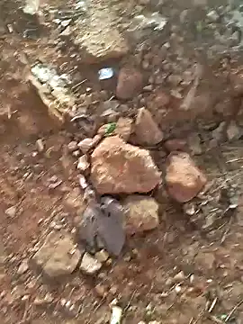 Snapshot of Gopal1243 chatting on December 15, 2024, 2:08 am Gopal1243 online show from December 15, 2024, 2:08 am