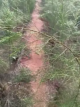 Snapshot of Gopal1243 chatting on December 14, 2024, 2:00 am Gopal1243 online show from December 14, 2024, 2:00 am