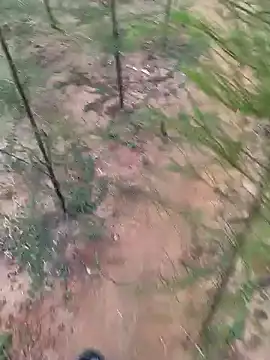 Snapshot of Gopal1243 chatting on January 19, 2025, 1:53 am Gopal1243 online show from January 19, 2025, 1:53 am