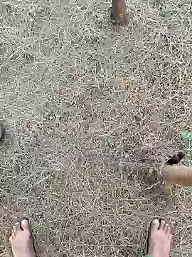 Snapshot of Gopal1243 chatting on February 26, 2025, 2:19 am Gopal1243 online show from February 26, 2025, 2:19 am