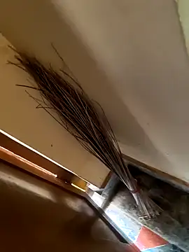 Snapshot of Gopal1243 chatting on January 21, 2025, 3:37 am Gopal1243 online show from January 21, 2025, 3:37 am