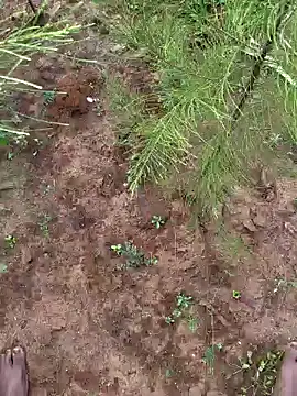 Snapshot of Gopal1243 chatting on December 9, 2024, 3:29 am Gopal1243 online show from December 9, 2024, 3:29 am