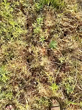 Snapshot of Gopal1243 chatting on March 23, 2025, 2:15 am Gopal1243 online show from March 23, 2025, 2:15 am