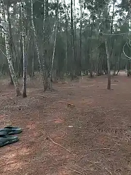 Snapshot of Gopal1243 chatting on January 20, 2025, 1:18 am Gopal1243 online show from January 20, 2025, 1:18 am