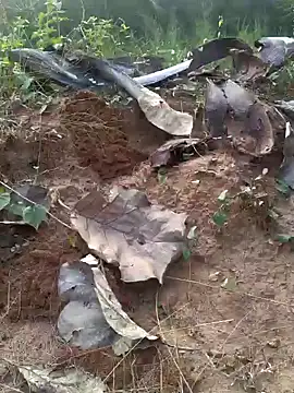 Snapshot of Gopal1243 chatting on February 20, 2025, 12:04 pm Gopal1243 online show from February 20, 2025, 12:04 pm