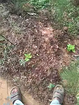 Snapshot of Gopal1243 chatting on January 15, 2025, 2:27 am Gopal1243 online show from January 15, 2025, 2:27 am