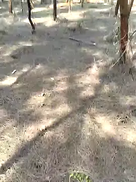 Snapshot of Gopal1243 chatting on February 20, 2025, 5:33 am Gopal1243 online show from February 20, 2025, 5:33 am