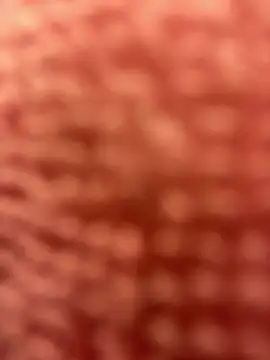 BigFineSelena online show from January 11, 2025, 3:09 pm