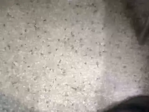 Snapshot of Rajibsorkar20 chatting on February 10, 2025, 9:04 pm Rajibsorkar20 online show from February 10, 2025, 9:04 pm