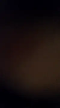 Snapshot of Rajibsorkar20 chatting on February 13, 2025, 10:00 pm Rajibsorkar20 online show from February 13, 2025, 10:00 pm