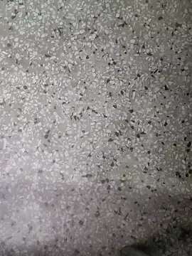 Snapshot of Rajibsorkar20 chatting on January 16, 2025, 9:19 pm Rajibsorkar20 online show from January 16, 2025, 9:19 pm