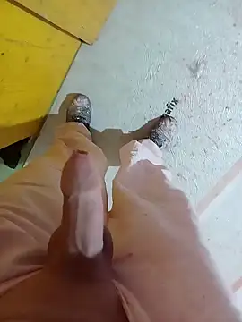 Snapshot of GeilerSchweizer chatting on January 29, 2025, 3:37 pm GeilerSchweizer online show from January 29, 2025, 3:37 pm