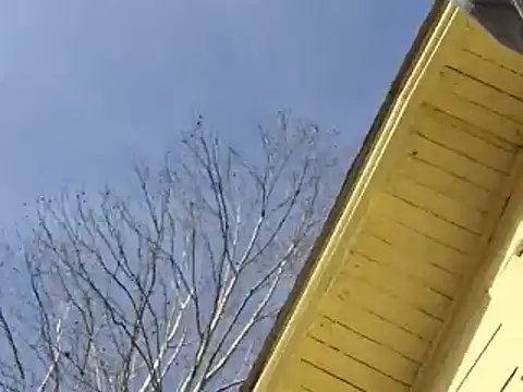 Snapshot of highstepper500 chatting on December 25, 2024, 11:10 pm highstepper500 online show from December 25, 2024, 11:10 pm