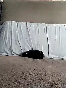 Snapshot of LoGaNfree88 chatting on September 11, 2025, 5:46 pm LoGaNfree88 online show from September 11, 2025, 5:46 pm