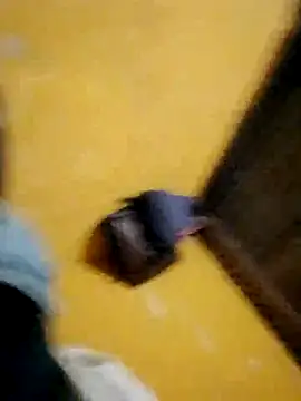 Snapshot of LULE37587001 chatting on November 16, 2025, 8:46 pm LULE37587001 online show from November 16, 2025, 8:46 pm