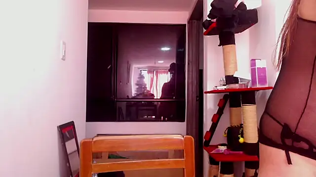 Snapshot of karinasodi_1 chatting on December 3, 2025, 8:08 pm karinasodi 1 online show from December 3, 2025, 8:08 pm