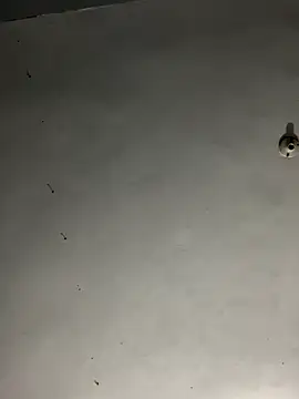 Snapshot of JayJayRod chatting on November 1, 2025, 6:08 am JayJayRod online show from November 1, 2025, 6:08 am