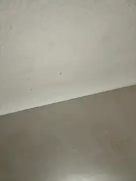 Snapshot of Ortegakim chatting on November 16, 2025, 5:28 pm Ortegakim online show from November 16, 2025, 5:28 pm