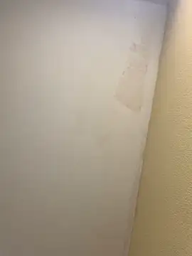 pinkangell online show from November 2, 2025, 7:41 pm