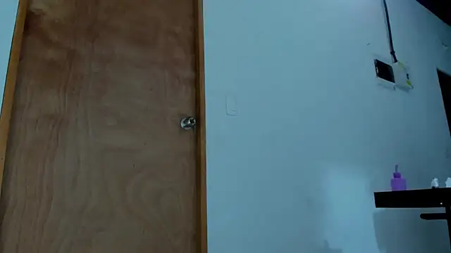 Snapshot of ink_demonxxx chatting on February 20, 2025, 2:29 am ink demonxxx online show from February 20, 2025, 2:29 am