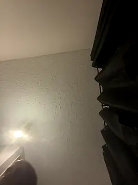 Snapshot of Technozzx chatting on November 27, 2025, 11:49 pm Technozzx online show from November 27, 2025, 11:49 pm