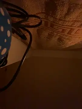 SexSanich online show from November 6, 2025, 4:05 am