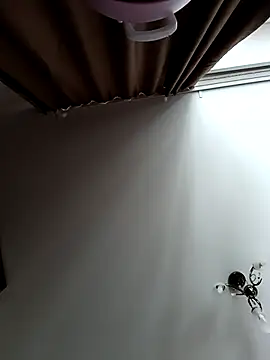 Lovers  Annn online show from March 9, 2026, 3:10 am