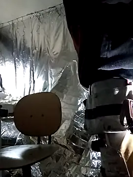 Snapshot of rexflexxx chatting on November 9, 2025, 11:47 am rexflexxx online show from November 9, 2025, 11:47 am