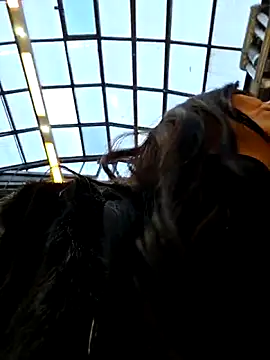 Snapshot of LeticiaWoods chatting on November 27, 2025, 10:48 am LeticiaWoods online show from November 27, 2025, 10:48 am