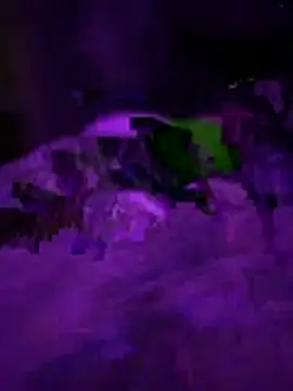 Themechanic420 online show from February 1, 2026, 2:37 pm