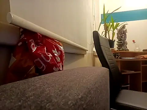 Snapshot of Ebinator666 chatting on January 21, 2025, 2:33 am Ebinator666 online show from January 21, 2025, 2:33 am