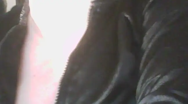 deluxpussy online show from March 19, 2025, 6:23 pm