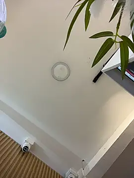 clarachanelricek online show from March 9, 2026, 8:23 pm