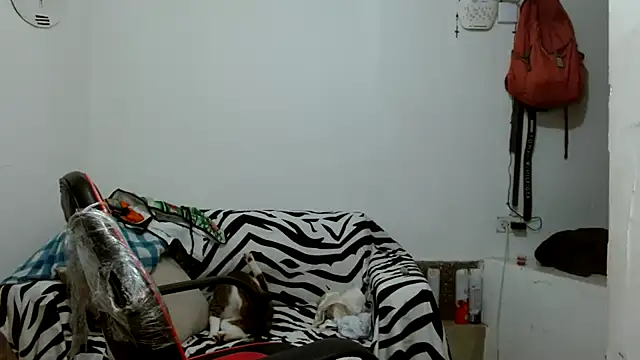 angelamarie1 online show from December 20, 2025, 11:57 am