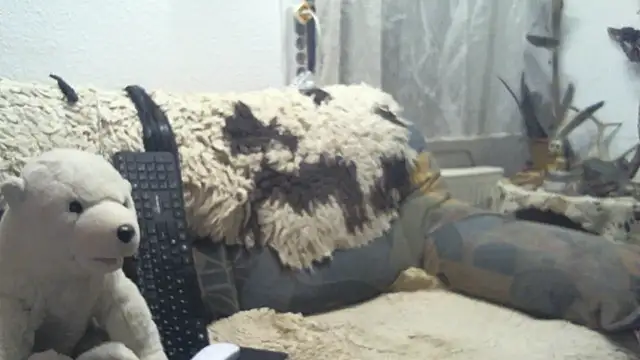 SexySantaC online show from December 16, 2025, 9:08 pm