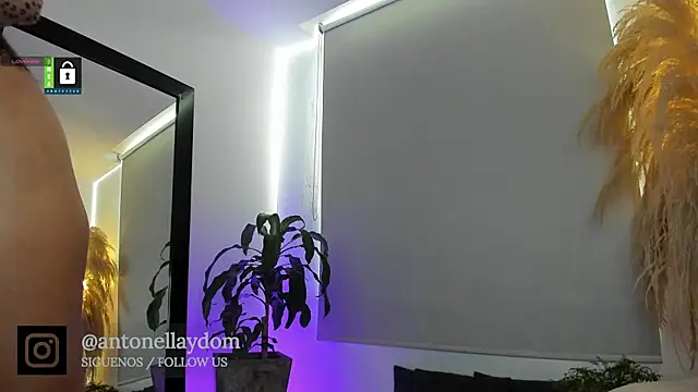 antonella dom1 online show from January 7, 2026, 6:24 pm